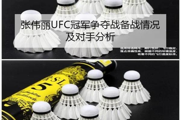 张伟丽UFC冠军争夺战备战情况及对手分析